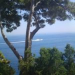 une vue paradisiaque de Monaco